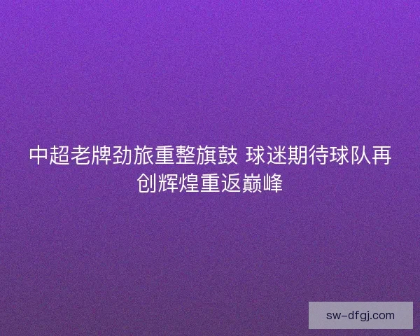 中超老牌劲旅重整旗鼓 球迷期待球队再创辉煌重返巅峰